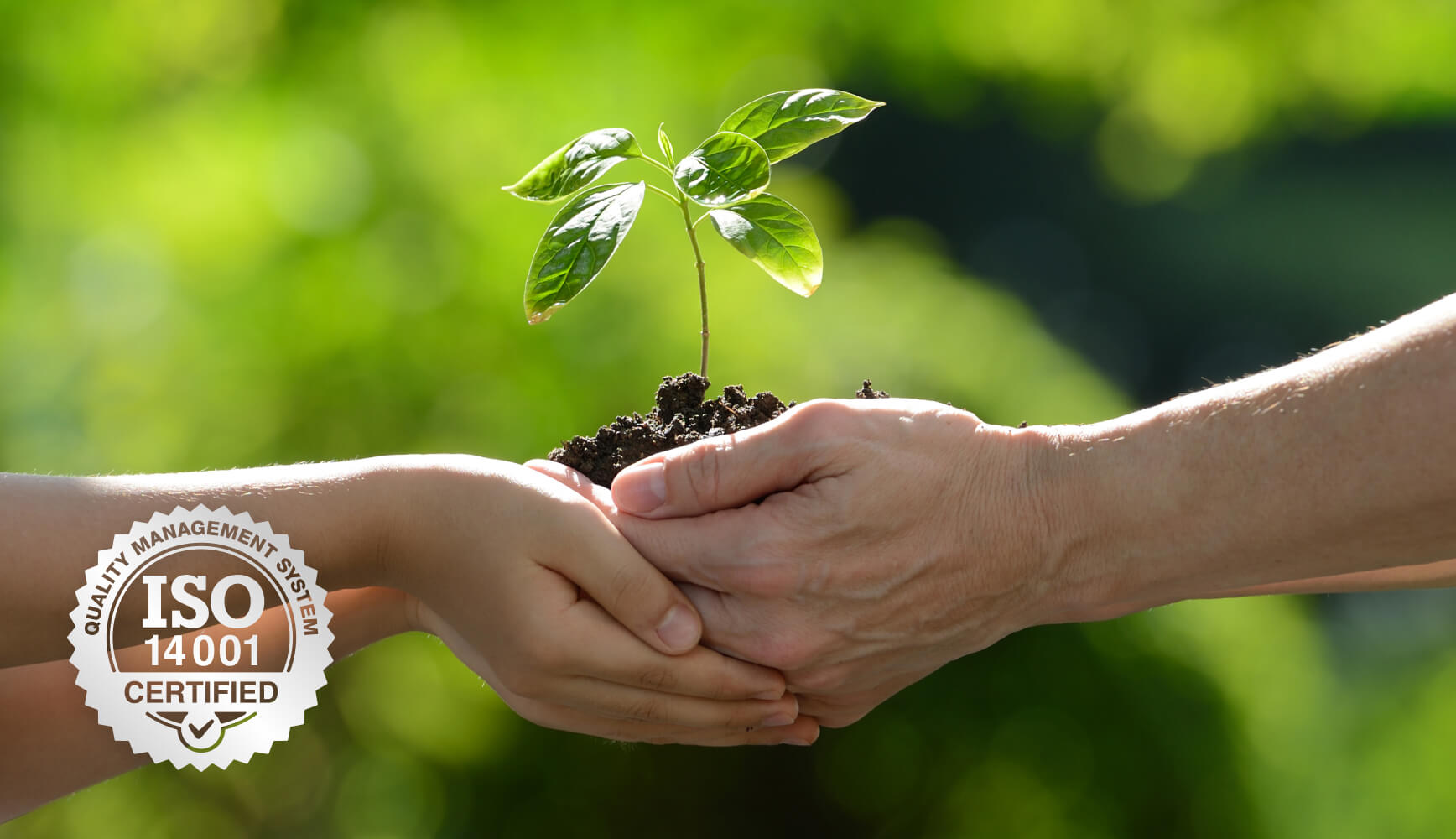 Sustainability